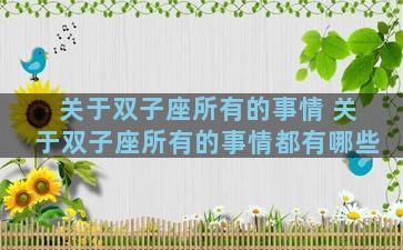 关于双子座所有的事情 关于双子座所有的事情都有哪些